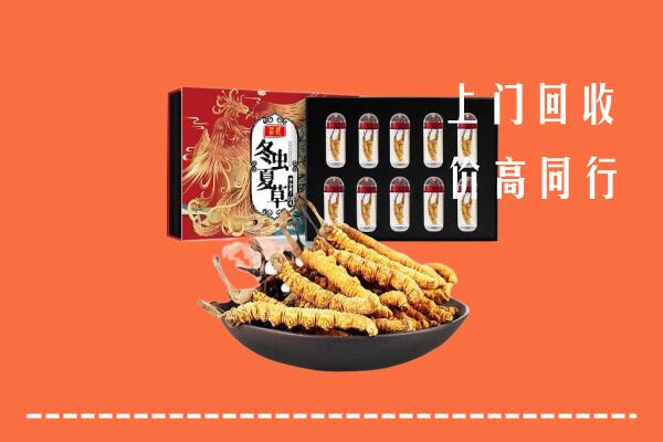 吉安吉州高价回收虫草